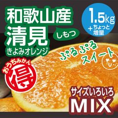 うまみつ農園☆和歌山みかん☆ - メルカリShops