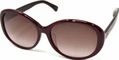 サングラス ロンシャン Longchamp 32432QLO609SA602のサムネイル
