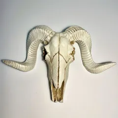 2025年最新】スカルトロフィーの人気アイテム - メルカリ