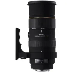 2023年最新】シグマ apo 50 500mm 中古の人気アイテム - メルカリ