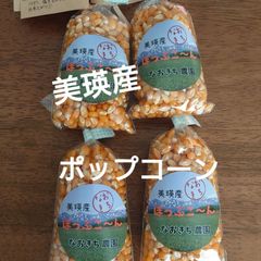 美瑛産・はじける！香ばしいポップコーン【100g×4】