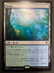 マジック：ザ・ギャザリング - ◇心を削るものグリール　Foil　日本語1枚 MTG 心を削るものグリール 日本語 foil Greel, Mind Raker PCY