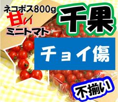 静岡県産ミニトマト　千果　不揃い・チョイ傷　800ｇ