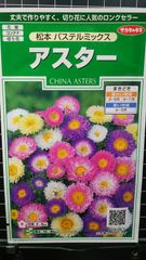 アスター 松本 パステル ミックス 種 ３袋セット