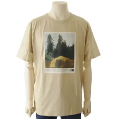 THE NORTH FACE ザ ノースフェイス Tシャツ メンズ 0A811B3X4