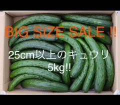 【大きめのみ】熊谷産訳ありきゅうり　5kg!