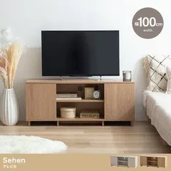 テレビ台 幅100 収納付き テレビボード テレビラック ローボード 扉収納 棚 ラック TV台 TVラック コンパクト 収納家具 リビングボード サイドボード リビング ワンルーム 一人暮らし おしゃれ 2色
