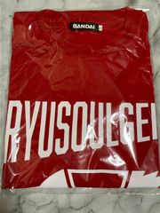 藍井エイル SDキャラ マスコット ぬいぐるみ Eir Aoi 10th Anniversary