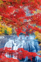 日本の滝・寺 1000ピース ジグソーパズル４点セット 71+pNZxxg+L._UF1000,1000_QL80_.jpg
