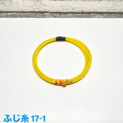 Item thumbnail for item f4f7c71a-c463-4143-b487-d07bf00be8d3