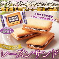 【24個】レーズンサンド ラム酒の香りがふんわり スイーツ 焼菓子 洋菓子 raisin sweets