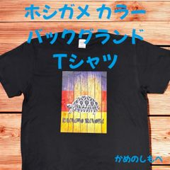 ホシガメ カラーバックグランド半袖TシャツMブラック 亀Tシャツ カメグッズ