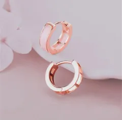 B27【ギフト箱無料】人気デザイン PG リング ピアス Silver925