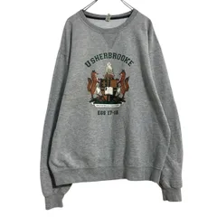 FRUIT OF THE LOOM プリントスウェット トレーナー L グレー フルーツオブザルーム キツネ フクロウ 古着卸 アメリカ仕入 a703-6298