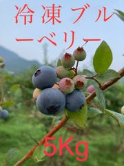 無農薬 令和7年収穫 冷凍ブルーベリー 5kg 無農薬 令和7年収穫 冷凍ブルーベリー 5kg - メルカリ