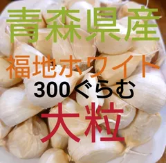 大粒３００ぐらむ　青森県産にんにく　福地ホワイト