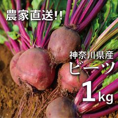 信州産ビーツ】1kg 【有機肥料使用・化学農薬不使用】 - メルカリ