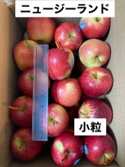 リンゴ　ニュージーランド産　小粒27個　約4kg