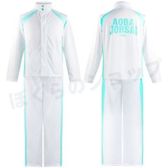 【S~4L】ハイキュー!!  TO THE TOP ハイキュー ジャージ コスプレ 衣装 青葉城西 ジャージ バレーボール部ジャージ ハイキュー!!  及川徹 岩泉一 金田一 勇太郎 コスプレ仮装 コスプレ衣装
