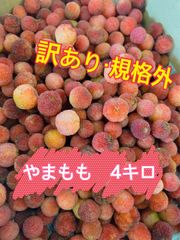 訳あり　やまもも　1キロ やまもも森口 訳あり1kg - メルカリ