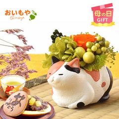 【おいもや公式】母の日限定 一寸 【三毛猫】ねこ ねこグッズ 動物 どら焼き プリザーブドフラワー おしゃれ 可愛い スイーツ お菓子 和菓子 インテリア 雑貨 造花 ミニ (お届け時期:5/5～11のいずれか)