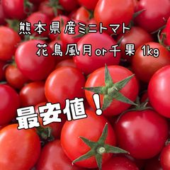 熊本県産ミニトマト1kg