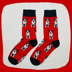 チワワ 犬 レッド クルーソックス #123