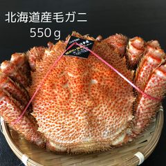 北海道産 チルド毛ガニ（550g～570g前後 ）  未冷凍　海明けガニ