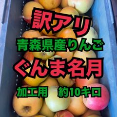 ニンニク村長様専用✴︎100サイズ - メルカリ