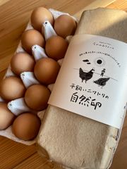クール便🥚平飼い自然卵（有精卵）25個セット