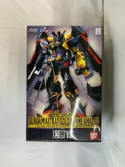 2025年最新】1/100 ガンダムアストレイ ゴールドフレーム「機動