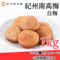 白梅 梅干し 梅干 梅 うめ 紀州南高梅 紀州 南高梅 1kg 大容量 家庭用 和歌山 国産 口熊野 塩分 22％ 送料無料 お取り寄せ 紀州梅本舗