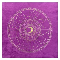 占星術✨ノーマルサイズ✨パープルエッジがキュートな韓国直輸入のルノルマンカード！
