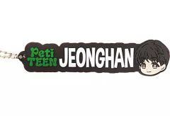 [중고] 열쇠 고리 정한 고무 매력 [이치 반 쿠지 PetiTEEN from SEVENTEEN] 고무 매력상