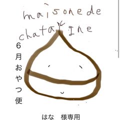はな様専用　おやつ便　シフォンケーキサンド　チーズケーキ　テリーヌ