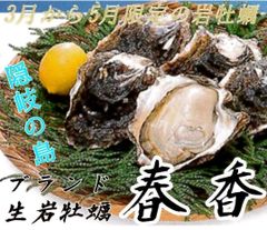 오키 해사마치산 이와모토[하루카] LL사이즈(400g이상) 5개 약 2kg