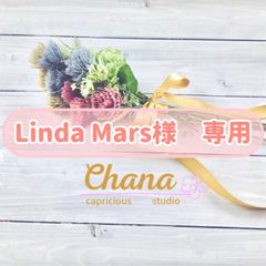 ドット柄　窓付きテントポーチ(ハリネズミ)(ネコ)(大)セット