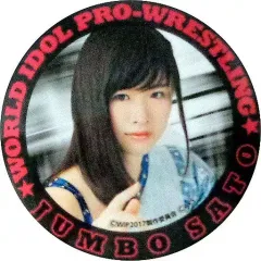 2025年最新】豆腐プロレスの人気アイテム - メルカリ