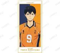 【中古】紙製品 影山飛雄 「ハイキュー!! トレーディングスタンド付き色紙 セカンドユニフォームver.」