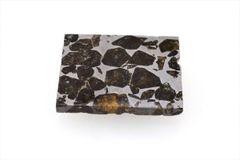 セイムチャン 6.0g スライス カット 標本 石鉄 隕石 パラサイト Seymchan 7