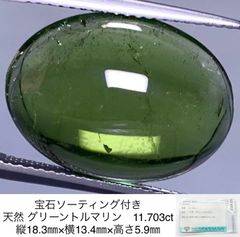 Item thumbnail for item 5207345e-822c-43e4-a814-5a3854f7304d