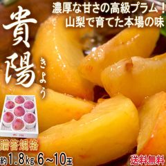 【予約：7/5～8/5予定】貴陽 きよう 厳選高級プラム 化粧箱入り 約1.8kg 6～10玉 山梨県産 贈答品 大玉中心 実測糖度17度以上！お中元に最適な味わい抜群のスモモ