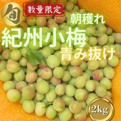 限定１　送料無料　紀州小梅　やや黄色　2kg入り　宅配便