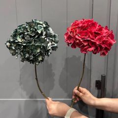 染アジサイ2本セット　ドライフラワー