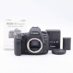【ショット数14,031回】SONY α7III ボディ ショット数14,031回】SONY α7III ボディ - メルカリ
