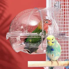 2025年最新】キンカチョウの人気アイテム - メルカリ