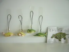 ミドリガメ マグネット×ストラップ – ネイチャーテクニカラー公式