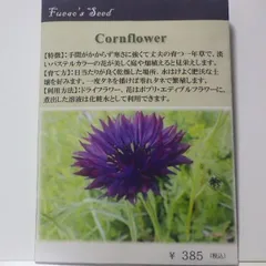 No.212◇ エディブルフラワーのスイーツセット ◇ミニチュアスイーツ