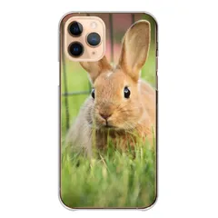 Xperia 5 SO-01M SOV41 803SO ケース カバー エクスペリア5 スマホケース ハードケース うさぎ ウサギ 兎 ラビット 子兎 野ウサギ かわいい 可愛い 写真 カメラマン カラー06