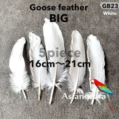 ◾️⭐︎【GB23白】ガチョウ 羽根 大 5枚 フェザー 鳥の羽根 素材 羽のサムネイル